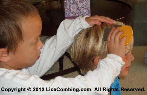 Child using a lice comb
